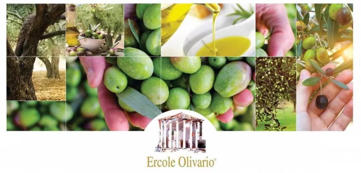 Ercole Olivario – Sezione Olive da Tavola - Iscrizioni aperte fino al 5 novembre